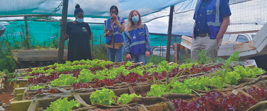 Protection and Sustainable Livelihoods