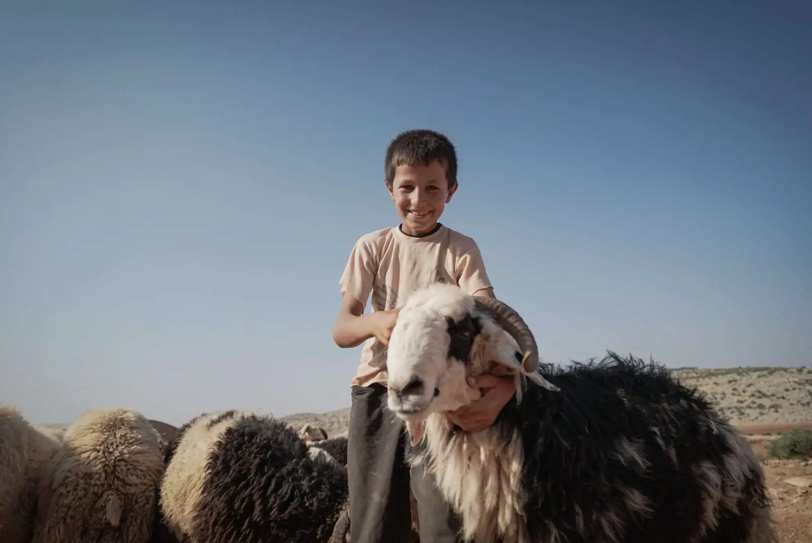 What is Qurbani?