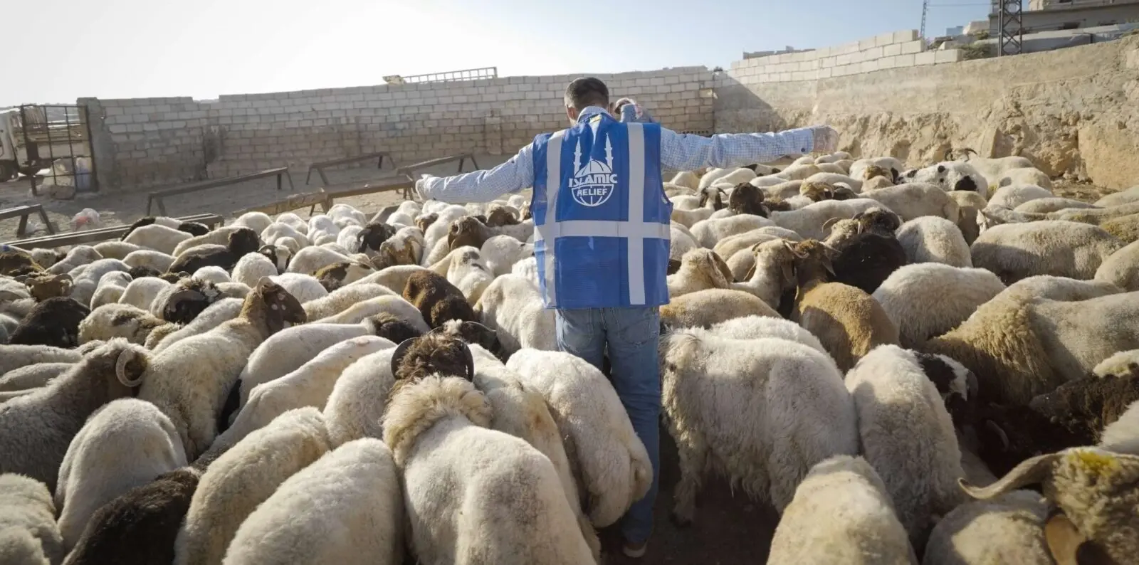Qurbani Rules