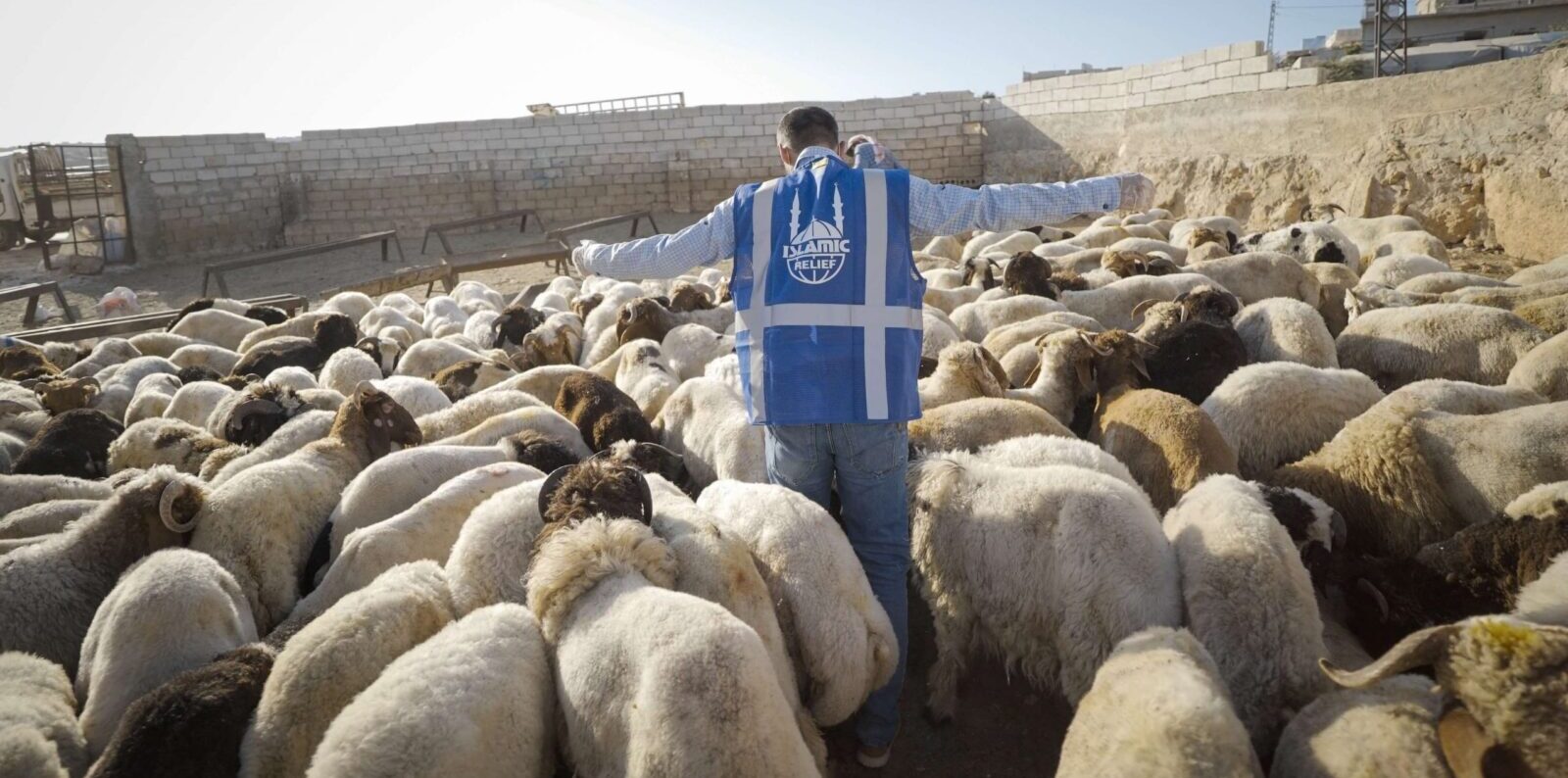 Impact Of Your Qurbani