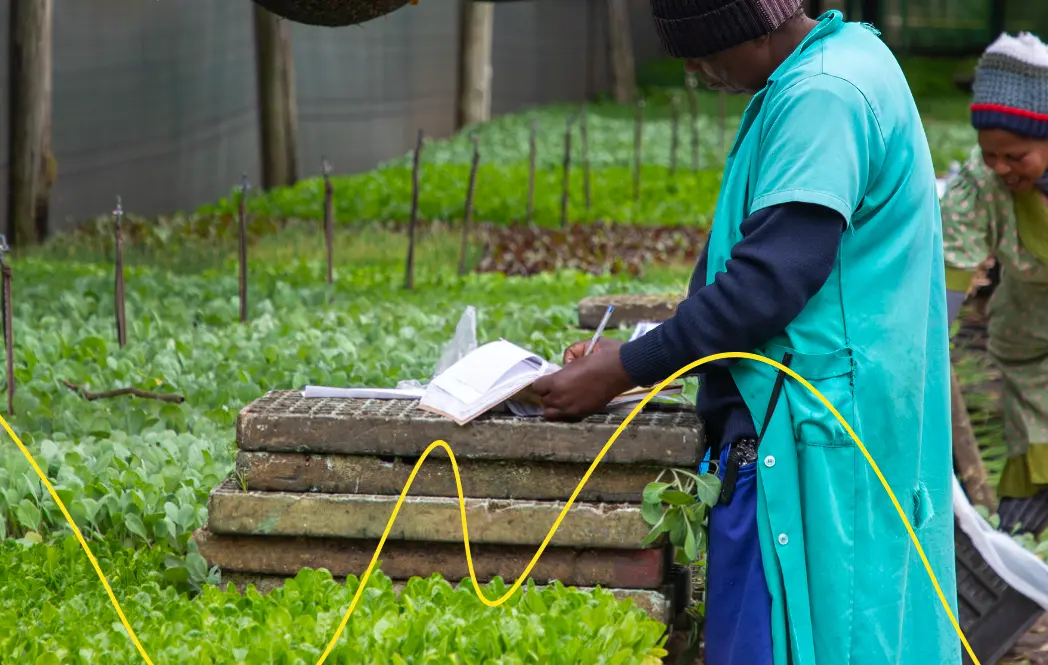 Food and water security